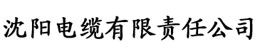 影视网电缆厂logo